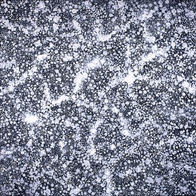 untitled 2013