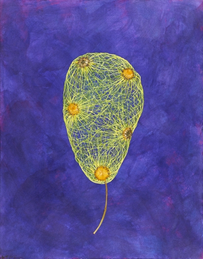 herbarium worx